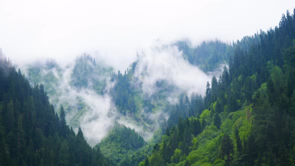 Timelapse of Valley Mountain Clouds in the Kashmir Forest Clouds
