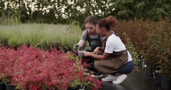 Multiracial Colleagues Examining Plant on Farm