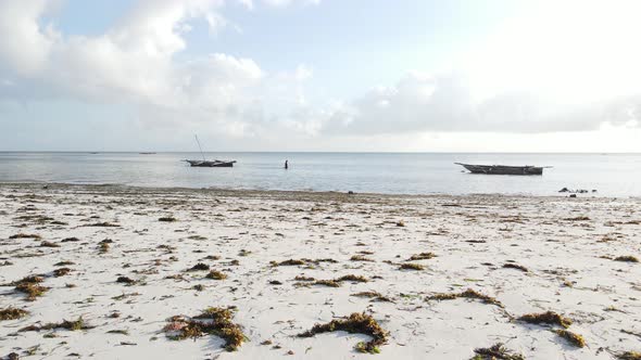 Woman Walking on the Beach at Low Tide Low Tide in Zanzibar Slow Motion