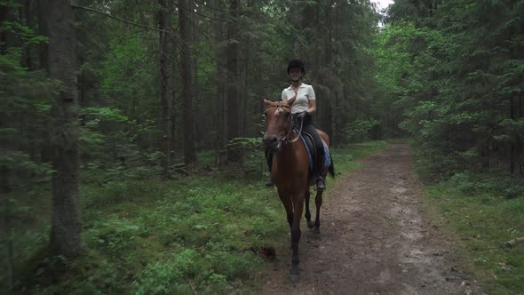 Young Female on Horseback Riding in the Forest Horse Walking Along a Forest Path Horsewoman Ride on