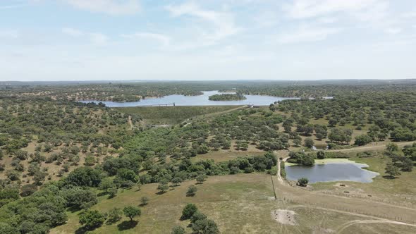 Aerial footage of a landscape with a lake and bull in the background