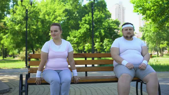 Two Cute Obese People Sitting Modestly on Bench, Too Shy to Get Acquainted
