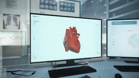 Heart Organ Scan In Interface Of Medical Computer Software For Disease Diagnosis alt
