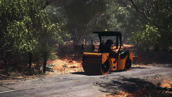 Road Roller Tractor in the Forest