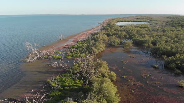 swamp marsh island coastline salt water forest florida keys tropical gulf of mexico usa aerial drone