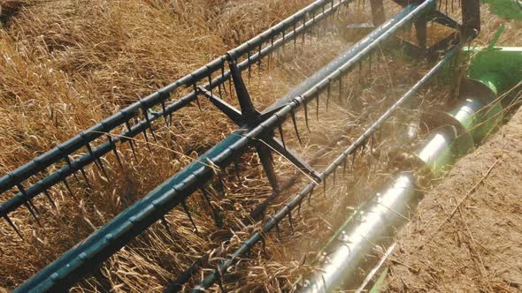 Close Up of Modern Combine Harvest Thrasher at Work. Overhead