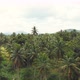 Sri Lankan Jungle Landscape - VideoHive Item for Sale