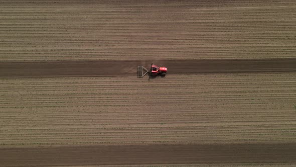 Agricultural Red Small Tractor in the Field Plowing Works in the Field