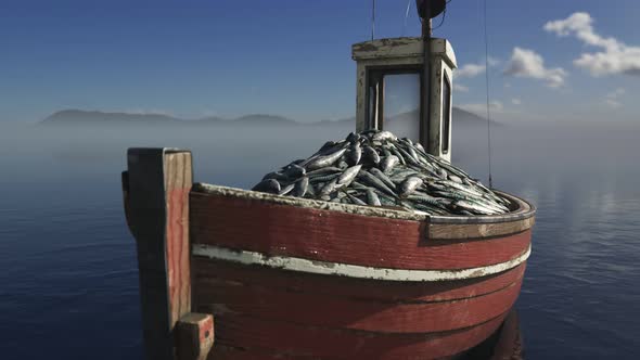 Old fishing boat with the fresh mackerels. Fruitful  end of the fishing day.