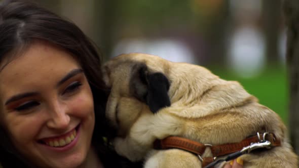 Young Girl with a Pug