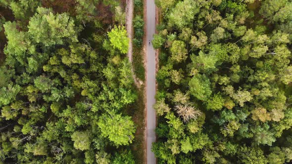 AERIAL: Lonely Cyclist Drives in the Forest, Opposite Direction Shot