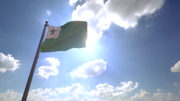 Esperanto Flag on a Flagpole V4