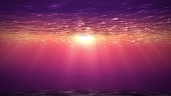Sea underwater colorful with underwater part and sunset skylight splitted 