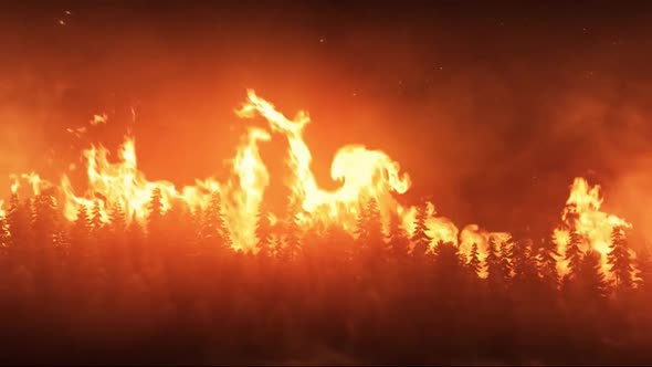 A Huge Flame On The Background Of The Forest, Trees Are Burning