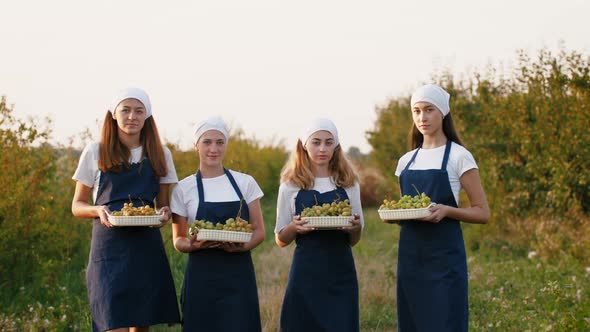 Group of Young Females Holding Boxes Full of Grape Bunches During Sunset Harvesting Concept