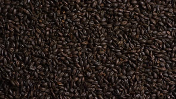 Rotating shot of barley and other beer brewing ingredients 