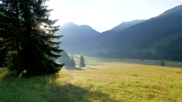 Dawn in the valley Chocholowska, Tatra Mountains, Poland