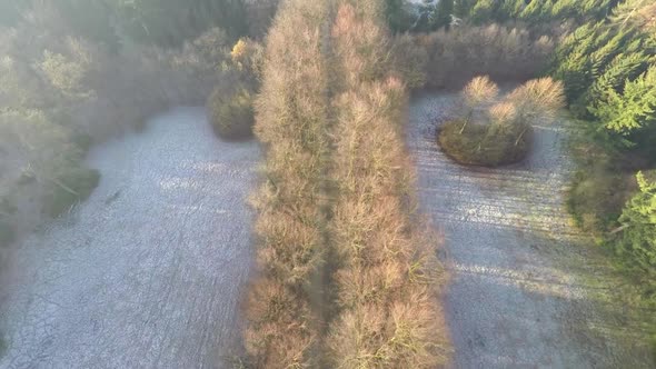 Aerial footage of road in winter forest.