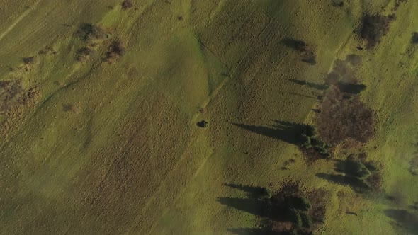 Directly above hilly meadow landscape with green grass in Poland, aerial