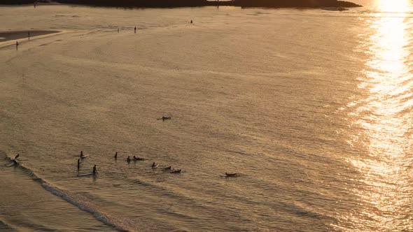 People who enjoy surfing in the sea at sunset.