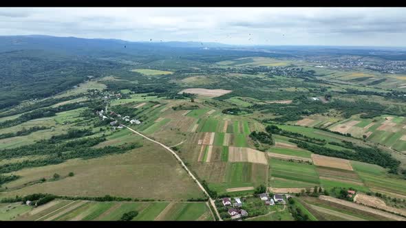 Scenic aerial panoramic landscape with flock of white storks in sky