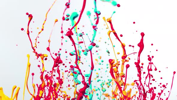 Colorful Splashing Paint in Super Slow Motion. Shooted with High Speed Cinema Camera at 1000Fps