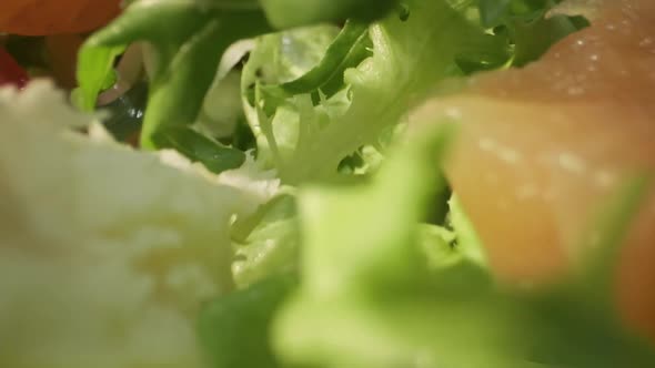 Appetizing Salad On Plate