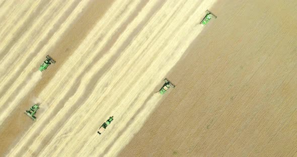 Four modern combine harvester and tractor-trailer working on the wheat crop. Aerial view