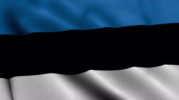 Estonia Satin Flag. Waving Fabric Texture of the Flag of Estonia, Real Texture Waving Flag of the Es