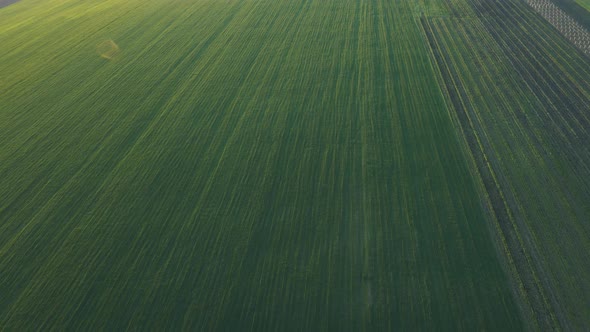 Aerial View of Wheat Fields Agricultural Land