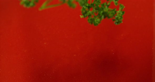 Parsley, Petroselinum crispum, falling into tomatoe's Juice, Slow Motion 4K