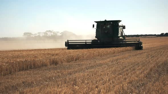 backlit shot of combine harvester in western australia