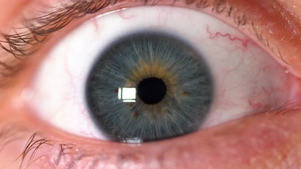 Close Up Of A Beautiful Human Blue Eye