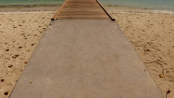 Wide angle scenery of shore beach wildlife by sea with sand background near palms