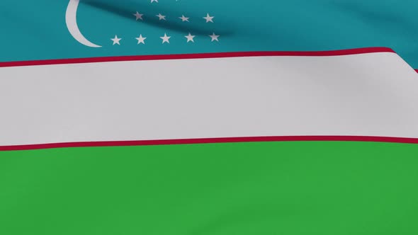 Flag Uzbekistan Patriotism National Freedom Seamless Loop