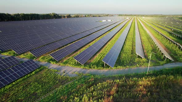 Aerial View of Solar Farm on the Green Field at Sunset Time Solar Panels in Row