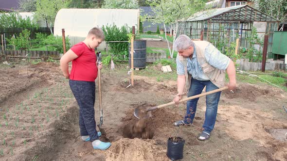 A Father and Son are Preparing a Pit with Humus or Compost for Planting a Tree