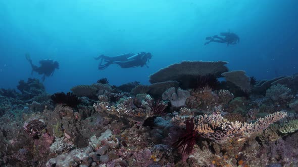 Silhouette of a group of scuba divers swimming above a colorful coral reef system deep below the oce