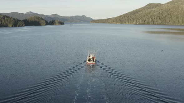 Aerial view of a commercial fishing boat in the Inside Passage, Alaska, USA