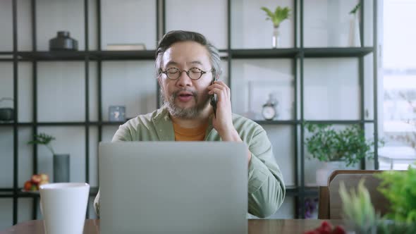 silver hair and beard Male dad businessman freelancer working at home