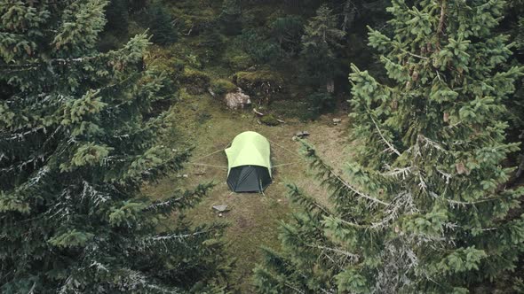 Closeup Tent at Pine Trees Forest Aerial