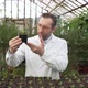 Scientist Examines Seedlings in Large Greenhouse - VideoHive Item for Sale