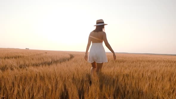 Happy Free Young Woman Walking Away in Slow Motion Across Field Touching Ears of Wheat with Her Hand