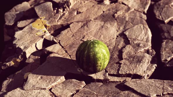 Watermelon Fruit Berry on Rocky Stones