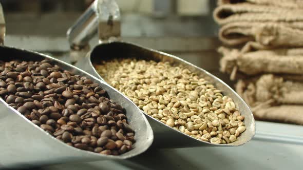 Scoops of Roasted and Unroasted Coffee Beans