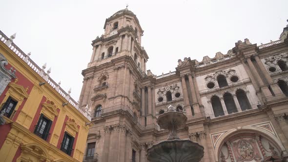 Fountain and the Malaga Cathedral's tower