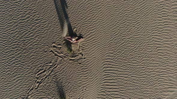 Top View on a Young Lady Pouring Sand Out of Her Hands in the Desert