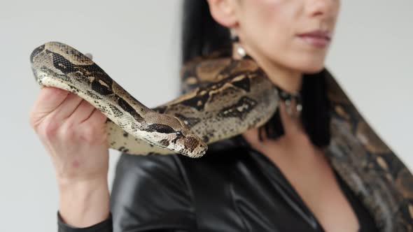 Close Up View of Big Snake on a Woman's Neck