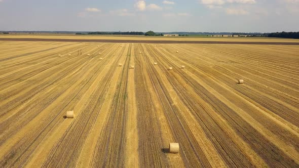 Aerial view of harvested wheat field with hay balls
