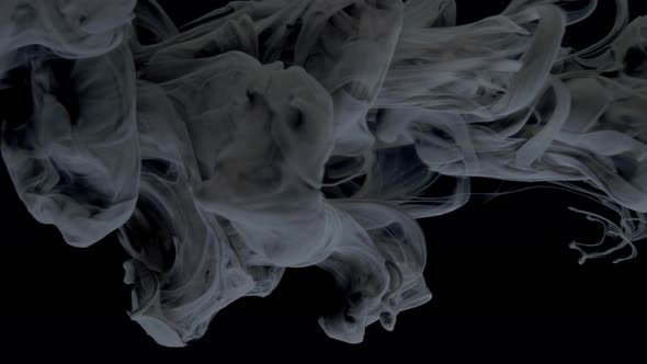 Black Ink Paint Smoke Flow in the Water